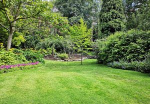 Optimiser l'expérience du jardin à Bec-de-Mortagne